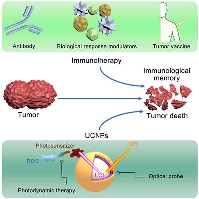 Recent Advances on Rare Earth Upconversion Nanomaterials for Combined Tumor Near-Infrared Photoimmunotherapy